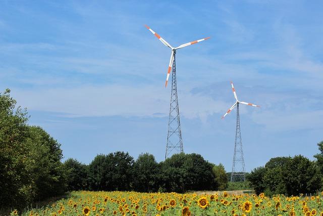 Alternativní zdroje: Místní farmářské trhy a specializované prodejny