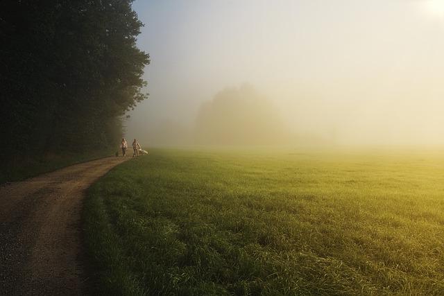 Malebné procházky po pražských mostech a parcích