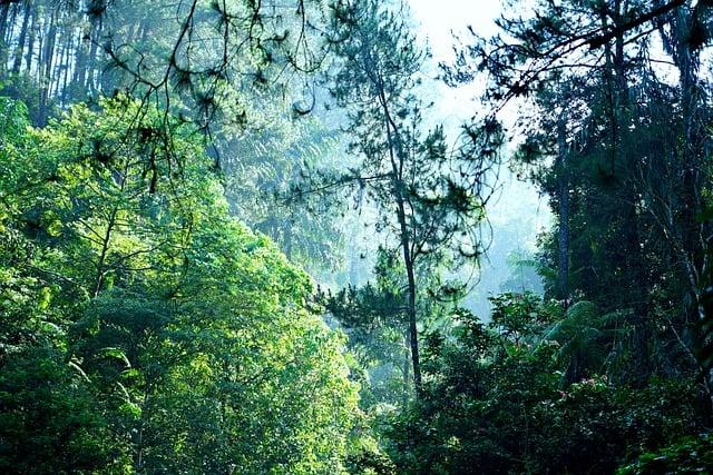 Jak zvládnout povětrnostní podmínky při outdoor svatbě