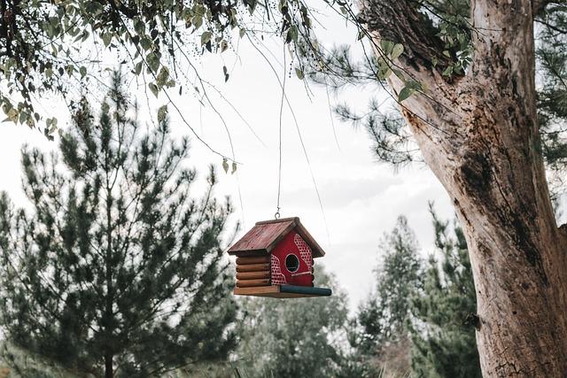 Přírodní dekorace na svatbu: Jak Vytvořit Eco-Friendly Svatbu