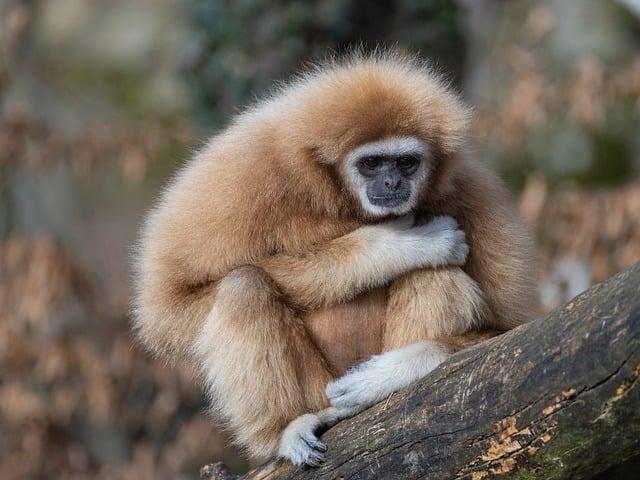 Jak zapojit personál zoo do vašeho plánu