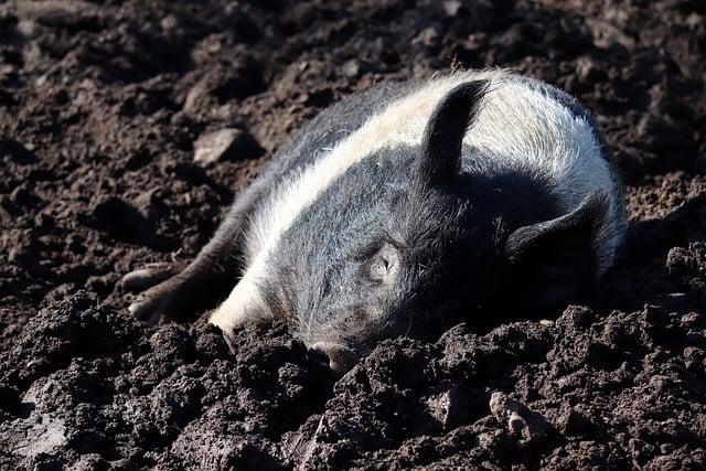 Postoj katolické církve k civilním sňatkům: Tradice a moderní výzvy